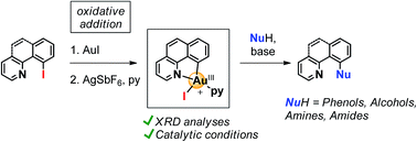 Graphical abstract: Au(iii)-aryl intermediates in oxidant-free C–N and C–O cross-coupling catalysis