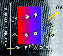 Graphical abstract: Gradient doping of phosphorus in Fe2O3 nanoarray photoanodes for enhanced charge separation