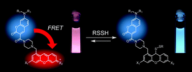 Graphical abstract: Reversible ratiometric detection of highly reactive hydropersulfides using a FRET-based dual emission fluorescent probe