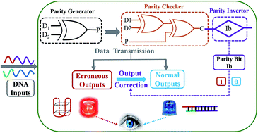 Graphical abstract: A DNA-based parity generator/checker for error detection through data transmission with visual readout and an output-correction function