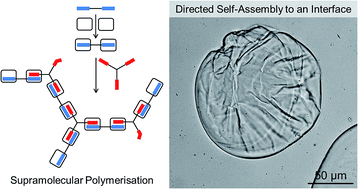 Graphical abstract: Aqueous interfacial gels assembled from small molecule supramolecular polymers