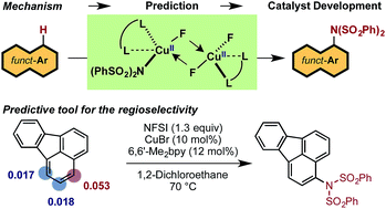 Graphical abstract: Cu-Catalyzed aromatic C–H imidation with N-fluorobenzenesulfonimide: mechanistic details and predictive models