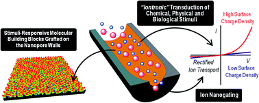 Graphical abstract: Bioinspired integrated nanosystems based on solid-state nanopores: “iontronic” transduction of biological, chemical and physical stimuli