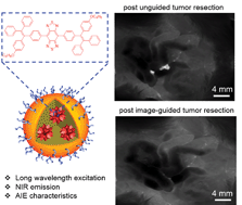 Graphical abstract: Long wavelength excitable near-infrared fluorescent nanoparticles with aggregation-induced emission characteristics for image-guided tumor resection