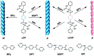 Graphical abstract: Unexpected right-handed helical nanostructures co-assembled from l-phenylalanine derivatives and achiral bipyridines