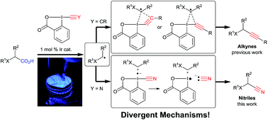 Graphical abstract: Room temperature decarboxylative cyanation of carboxylic acids using photoredox catalysis and cyanobenziodoxolones: a divergent mechanism compared to alkynylation