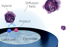 Graphical abstract: Catalytic activity of catalase–silica nanoparticle hybrids: from ensemble to individual entity activity