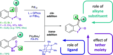 Graphical abstract: Mechanistic insights on the Pd-catalyzed addition of C–X bonds across alkynes – a combined experimental and computational study