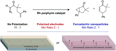Graphical abstract: Molecular catalysis at polarized interfaces created by ferroelectric BaTiO3