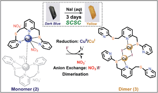 Graphical abstract: Anion exchange coupled with the reduction and dimerisation of a copper(ii) nitrate complex of tripyridyl dithioether via a single-crystal-to-single-crystal transformation