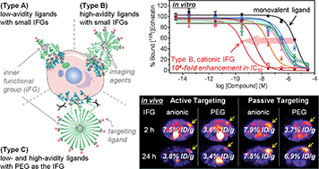 Graphical abstract: Toward redesigning the PEG surface of nanocarriers for tumor targeting: impact of inner functionalities on size, charge, multivalent binding, and biodistribution