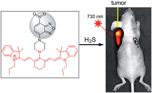 Graphical abstract: A new H2S-specific near-infrared fluorescence-enhanced probe that can visualize the H2S level in colorectal cancer cells in mice