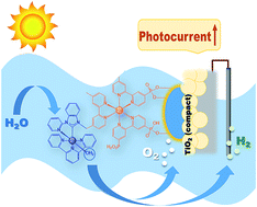 Graphical abstract: The role of layer-by-layer, compact TiO2 films in dye-sensitized photoelectrosynthesis cells