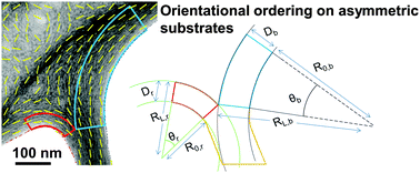 Graphical abstract: Controlled self-assembly of biomolecular rods on structured substrates