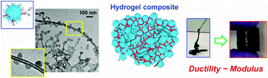 Graphical abstract: A study of conductive hydrogel composites of pH-responsive microgels and carbon nanotubes