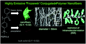 Graphical abstract: Highly emissive ‘frozen-in’ conjugated polymer nanofibers