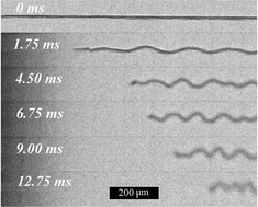 Graphical abstract: Rupture and recoil of bent-core liquid crystal filaments