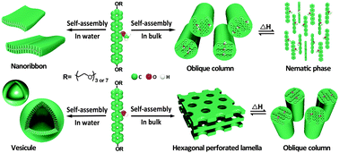 Graphical abstract: Self-organizing p-quinquephenyl building blocks incorporating lateral hydroxyl and methoxyl groups into supramolecular nano-assemblies