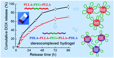 Graphical abstract: Thermoresponsive physical hydrogels of poly(lactic acid)/poly(ethylene glycol) stereoblock copolymers tuned by stereostructure and hydrophobic block sequence