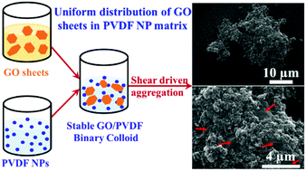 Graphical abstract: Uniform distribution of graphene oxide sheets into a poly-vinylidene fluoride nanoparticle matrix through shear-driven aggregation