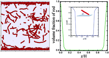 Graphical abstract: Boundary-induced segregation in nanoscale thin films of athermal polymer blends