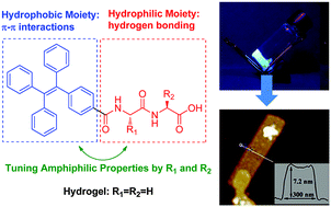 Graphical abstract: A novel nanostructured supramolecular hydrogel self-assembled from tetraphenylethylene-capped dipeptides