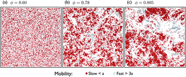 Graphical abstract: Slow and long-ranged dynamical heterogeneities in dissipative fluids