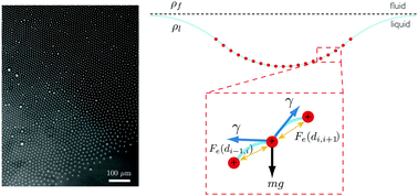 Graphical abstract: Self-assembly of repulsive interfacial particles via collective sinking