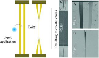 Graphical abstract: Let's twist again: elasto-capillary assembly of parallel ribbons