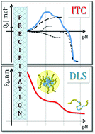 Graphical abstract: Thermodynamics of the multi-stage self-assembly of pH-sensitive gradient copolymers in aqueous solutions