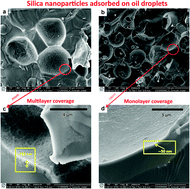 Graphical abstract: Pickering emulsions stabilized by charged nanoparticles
