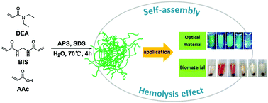 Graphical abstract: Self-assembly and the hemolysis effect of monodisperse N,N-diethylacrylamide/acrylic acid nanogels with high contents of acrylic acid