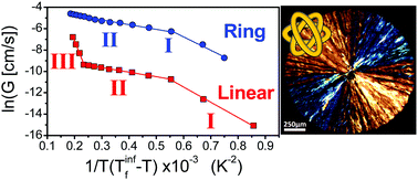 Graphical abstract: Influence of chain topology on polymer crystallization: poly(ethylene oxide) (PEO) rings vs. linear chains