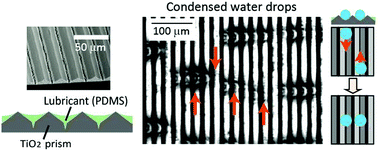 Graphical abstract: Cylindrical chains of water drops condensing on microstructured lubricant-infused surfaces