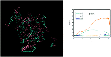 Graphical abstract: Tracer diffusion in a sea of polymers with binding zones: mobile vs. frozen traps