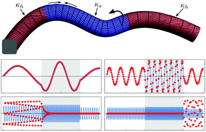 Graphical abstract: Gaussian fluctuations of spatially inhomogeneous polymers