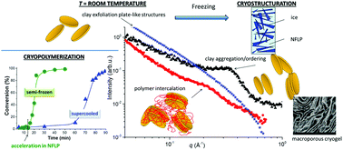 Graphical abstract: Insight into the cryopolymerization to form a poly(N-isopropylacrylamide)/clay macroporous gel: structure and phase evolution