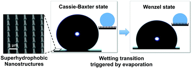 Graphical abstract: Universal wetting transition of an evaporating water droplet on hydrophobic micro- and nano-structures