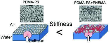 Graphical abstract: Physical properties of mixed Langmuir monolayers of polystyrene particles with poly(N,N-dimethylaminoethylmethacrylate) hairs and a poly(2-hydroxyethyl methacrylate) polymer at an air/water interface