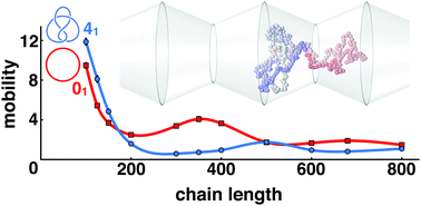 Graphical abstract: Sorting ring polymers by knot type with modulated nanochannels