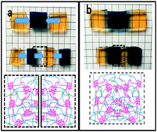 Graphical abstract: Dual physically crosslinked double network hydrogels with high toughness and self-healing properties
