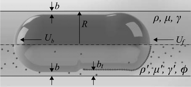 Graphical abstract: Armoring confined bubbles in the flow of colloidal suspensions