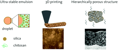 Graphical abstract: 3D printing of concentrated emulsions into multiphase biocompatible soft materials