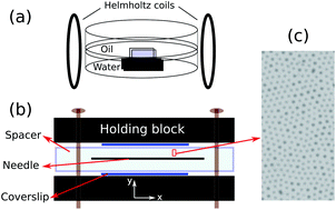 Graphical abstract: Shear-induced reversibility of 2D colloidal suspensions in the presence of minimal thermal noise