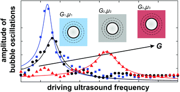 Graphical abstract: High-frequency linear rheology of hydrogels probed by ultrasound-driven microbubble dynamics