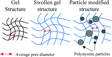 Graphical abstract: Swelling-induced structural changes and microparticle uptake of gelatin gels probed by NMR and CLSM