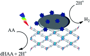 Graphical abstract: Self-assembly of polyoxometalates, Pt nanoparticles and metal–organic frameworks into a hybrid material for synergistic hydrogen evolution