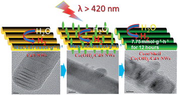 Graphical abstract: New Co(OH)2/CdS nanowires for efficient visible light photocatalytic hydrogen production