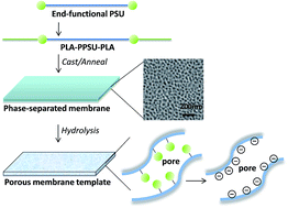Graphical abstract: Nanoporous polysulfone membranes via a degradable block copolymer precursor for redox flow batteries