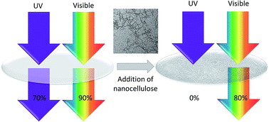 Graphical abstract: UV-absorbing cellulose nanocrystals as functional reinforcing fillers in polymer nanocomposite films